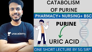 catabolism of purine nucleotides  purine Nucleotide catabolism  catabolism of purine biochemistry [upl. by Groark]