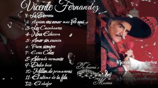 Vicente Fernandez Album para siempre [upl. by Jaeger856]