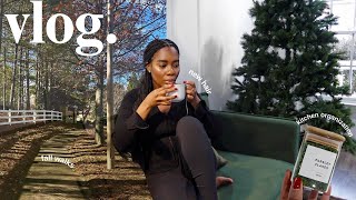 VLOG  putting up the Christmas tree grocery haul kitchen organizations amp more  Octavia B [upl. by Robbyn]