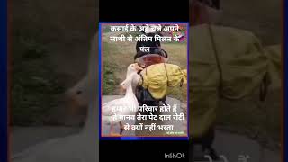 Sathi se Milan ke antim palsaveanimals vegetarian hearttouching shortvideo [upl. by Petulah]