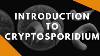 Introduction to Cryptosporidium [upl. by Thompson]