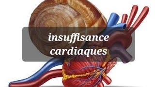 PHYSIOPATHOLOGIE DE LINSUFFISANCE CARDIAQUE [upl. by Tinaret516]