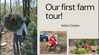 Christmas Tree Farm Tour 1 [upl. by Ydnih]