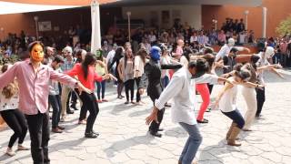 Flashmob Thriller [upl. by Bride]