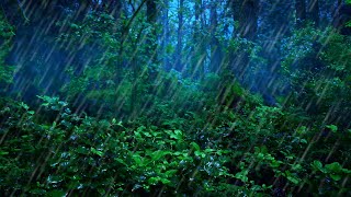 Rainforest Thunderstorm Sounds for Sleep  10Hour Rain and Thunder Ambience [upl. by Meelas]