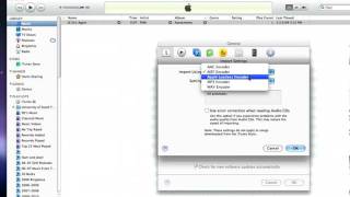 iTunes Audio Settings [upl. by Ikim]