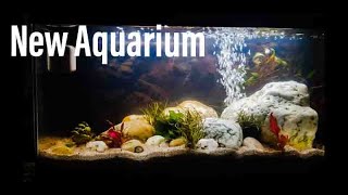 Ciano Aquarium 60 cm met lighting system Unboxing video [upl. by Velma986]