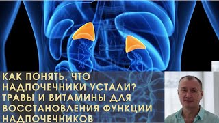 КАК ПОНЯТЬ ЧТО НАДПОЧЕЧНИКИ УСТАЛИ ТРАВЫ И ВИТАМИНЫ ДЛЯ ВОССТАНОВЛЕНИЯ ФУНКЦИИ НАДПОЧЕЧНИКОВ [upl. by Delp387]