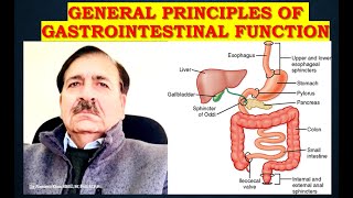 General Principles of Gastrointestinal Function  Lectures by Dr Alamzeb [upl. by Nais]