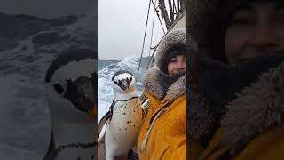 Giant Sea Monsters Caught by Fishermen 🐙🎣GiantSeaCreatures FishingDiscoveries OceanMysteries [upl. by Airahs]