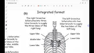 What is Extraneous Load and how to limit it [upl. by Enenstein]