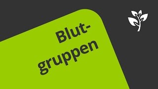 Wie werden die Blutgruppen AB0 und der Rhesusfaktor vererbt  Biologie  Genetik [upl. by Navy464]