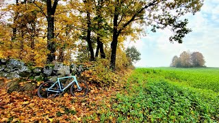 Autumn Gravel Ride  Specialized Diverge Carbon Expert 27102024 [upl. by Judd253]