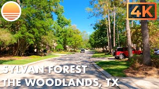 🇺🇸 4K Sylvan Forest The Woodlands Texas 🚘 Drive with me through a neighborhood in The Woodlands [upl. by Nnylasor]