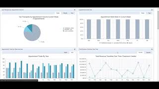 ClinicSource CSInsights Demonstration [upl. by Ain]