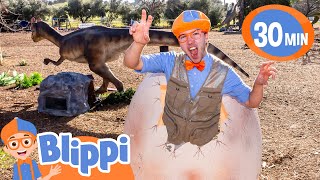 Blippis Dino Egg Adventure Learn about Dinosaurs  Educational Videos for Kids [upl. by Almat]