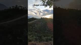 Sunset viralvideo videoshort shorts short shortvideo shortsviral [upl. by Yong]