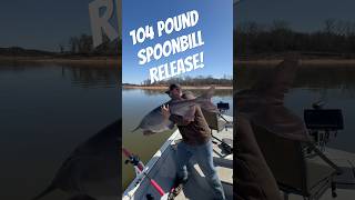 Giant Released MUST SEE opg fishing paddlefish spoonbill oklahoma [upl. by Roumell]