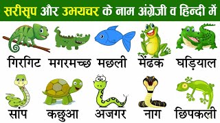 Reptiles and Amphibians Names In English amp Hindi with picture theknowledgetreasure [upl. by Bander]