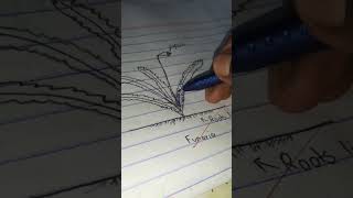 Funaria🌿☘ Drawing drawing shorts science biology schoolexam art ytshorts [upl. by Ama805]