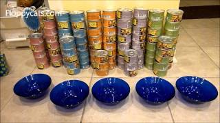 Ragdoll Cats Receive Lotus Cat Food Just Juicy Canned Cat Food  ねこ  ラグドール  Floppycats [upl. by Reaht158]