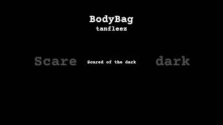 bodybag  tanfeelz  lyrics l [upl. by Medovich]