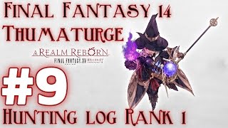 Final Fantasy 14 a Realm Reborn  Thumatuge Hunting log Rank 1 Qiqirn shellsweeper [upl. by Aivatnwahs]