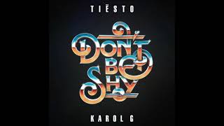 Tiësto amp KAROL G  Don’t Be Shy Instrumental [upl. by Harpole]