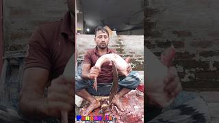 Amazing Great Delicious Pangas Fish Cutting Techniques  Fish Cutting Skills [upl. by Zosi174]