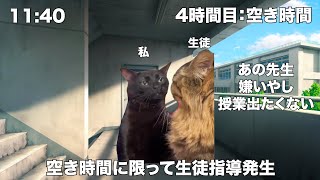 中学校保健体育教師の日常 猫ミーム 猫マニ [upl. by Nirre297]