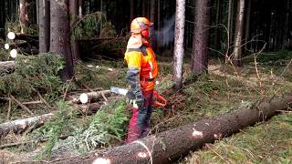 Husqvarna 560XP THE BEST CHAINSAW [upl. by Kotz]