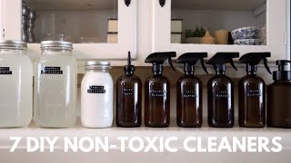 7 DIY All Natural Cleaning Products for a NonToxic Home  DIY Laundry Detergent Dish Soap amp More [upl. by Tihom322]