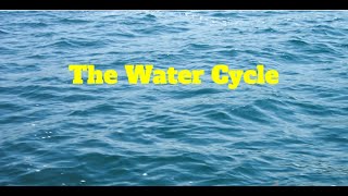 Water Cycle [upl. by Royo234]