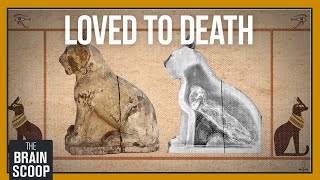 Why were Ancient Egyptians obsessed with cats [upl. by Eniamej363]