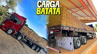 CARREGAMENTO DA BATATA NO INTERIOR QUE CARGA TOP QUE FICOU ESSA  😍 [upl. by Narag]