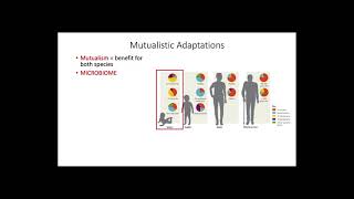 Evolutionary Adaptations of Digestive Systems [upl. by Duwalt328]