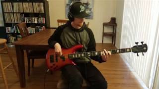 Red Hot Chili Peppers  Skinny Sweaty Man BASS COVER [upl. by Feirahs]