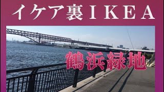 イケア裏 IKEA 鶴浜緑地 大阪湾釣り解放区 京阪神釣り場情報 関西釣り場案内 [upl. by Laux]