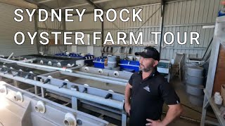 EXCLUSIVE PRIVATE OYSTER FARM TOUR IN BATEMANS BAY [upl. by Benedix]