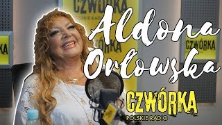 WOW ALDONA ORŁOWSKA W CZWÓRCE HIT [upl. by Quarta148]