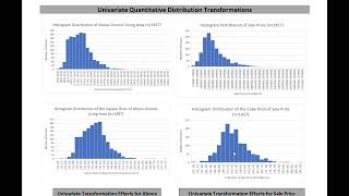 Quantitative Data Transformation Background [upl. by Gemini]