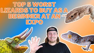 DON’T BUY THESE LIZARDS Top 5 Worst Lizards To Buy At Reptile Expos For Beginners [upl. by Yatnod]