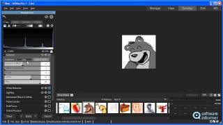 ACDSee Pro 7 video demo [upl. by Laurita]