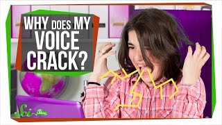 Why Does My Voice Crack [upl. by Manolo]