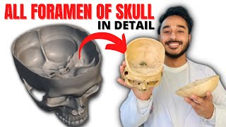 all foramen of skull anatomy  skull foramen anatomy  skull foramina anatomy [upl. by Doerrer170]