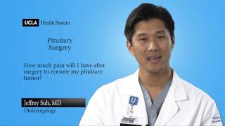 Real Questions  Pituitary Surgery  UCLA Pituitary Tumor Program [upl. by Jarrow595]