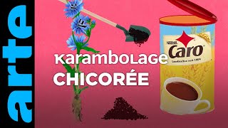 Chicorée  Karambolage  ARTE [upl. by Qerat]