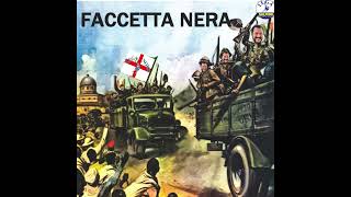 faccetta nera cover Matteo Salvini [upl. by Nwahsan]