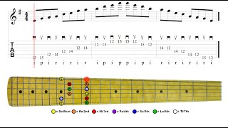 Neck Diagram Tutorial [upl. by Ordnazil]