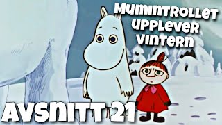 I Mumindalen avsnitt 21  Mumintrollet upplever vintern [upl. by Leugimsiul514]